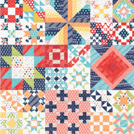 2024 Design n Stitch Quilt