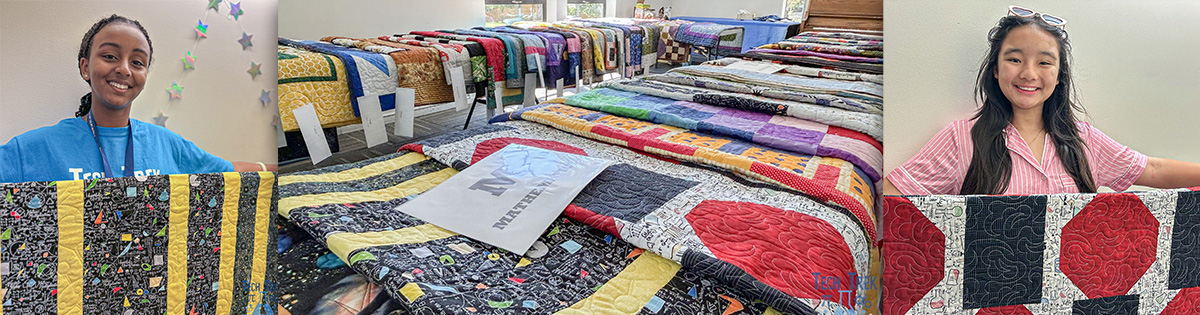 The STEM Quilt Project